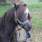 Schwarzenburg-2013-127