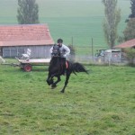 Schwarzenburg-2013-130