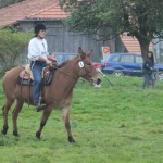 Schwarzenburg-2013-131