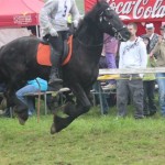 Schwarzenburg-2013-133