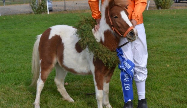 Mahalia ist Schweizer Cupsiegerin 2017